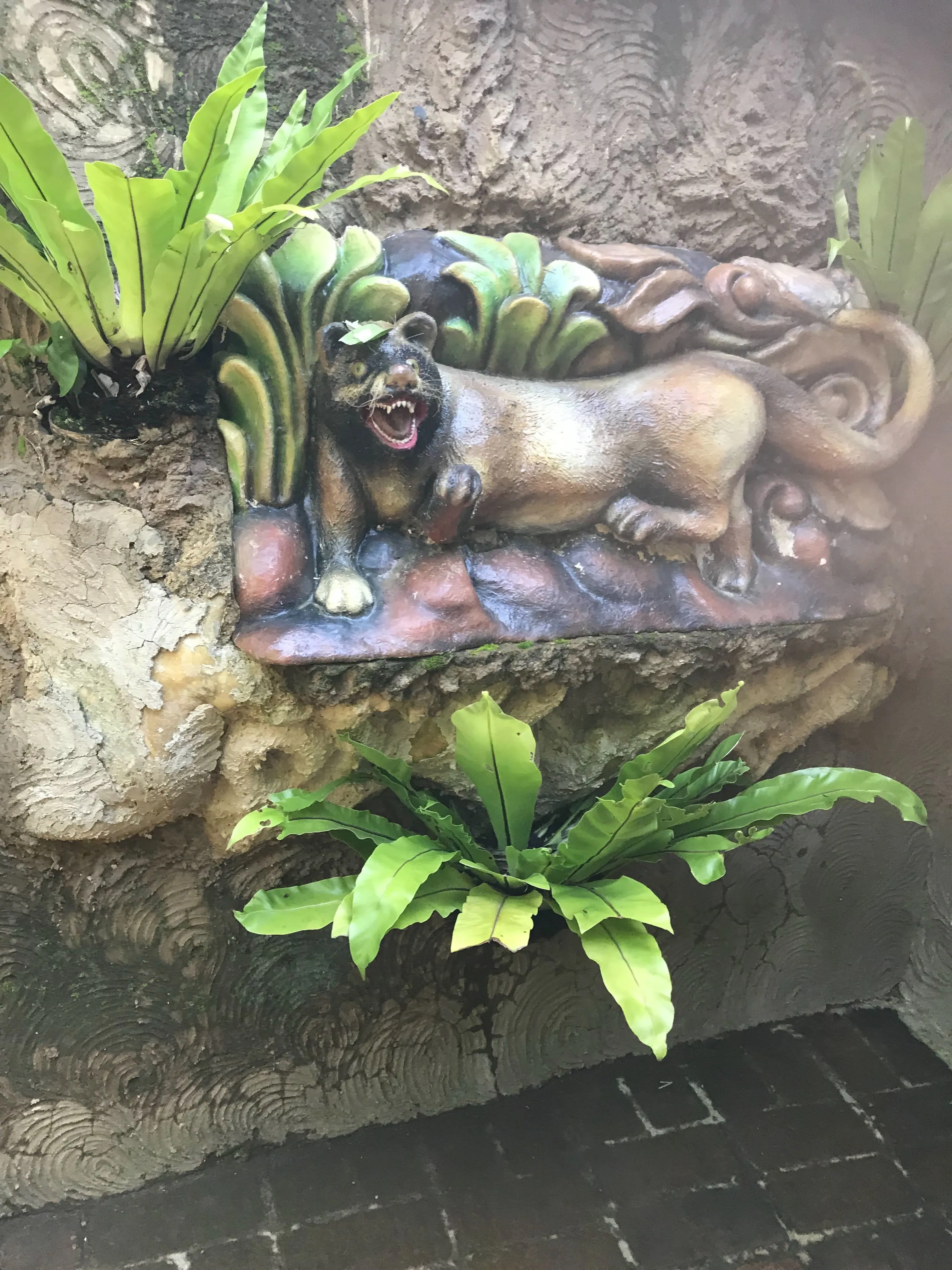 ジャコウネココーヒー